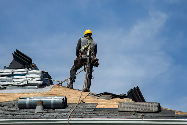 Professional Roofing technician working in Bronson, IA